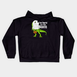 Halloween T Rex Dinosaur Ghost Costume Boo Kids Hoodie